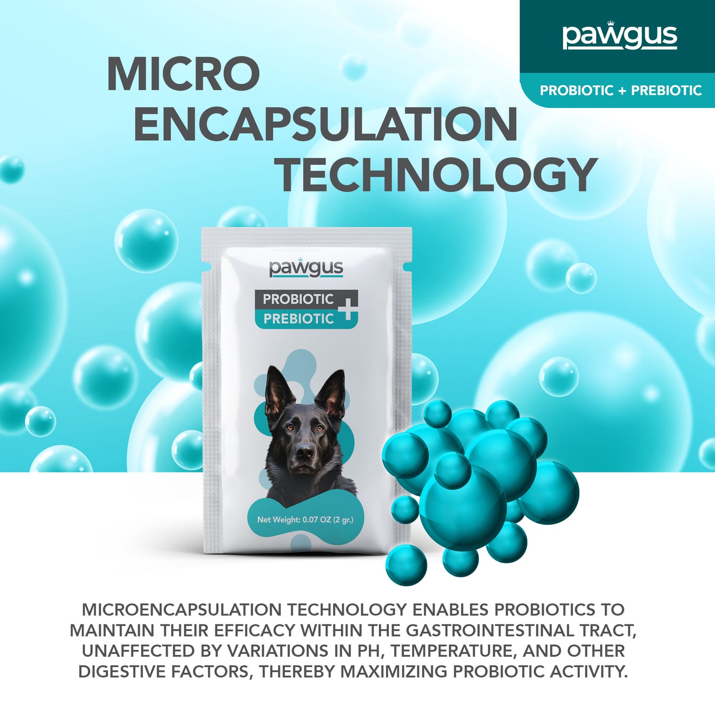 Veterinary Supplements Prebiotic + Probiotic Combo for Dogs 30 Sachets - Digestive System Regulation, Immune Support, Healthy Gut