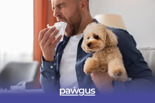 Can Dogs Transmit Diseases to Humans?