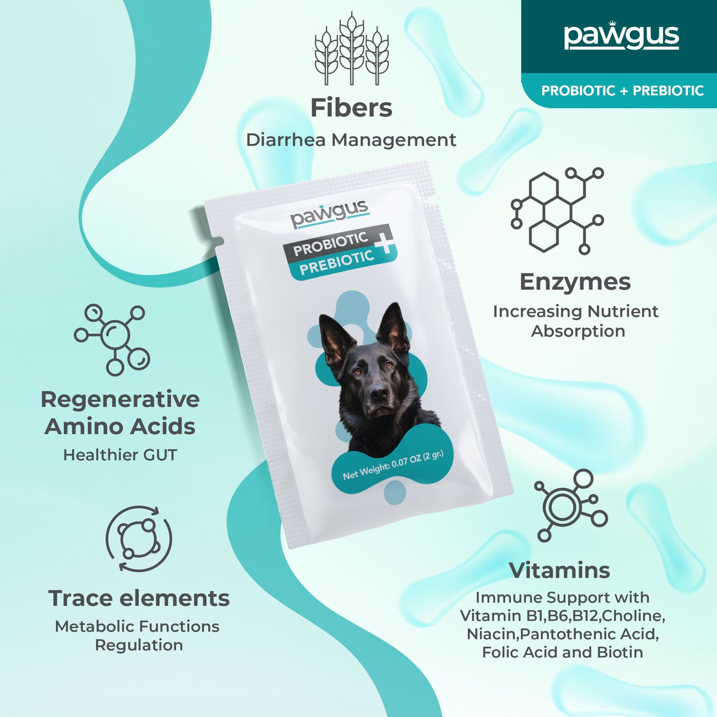 Veterinary Supplements Prebiotic + Probiotic Combo for Dogs 30 Sachets - Digestive System Regulation, Immune Support, Healthy Gut
