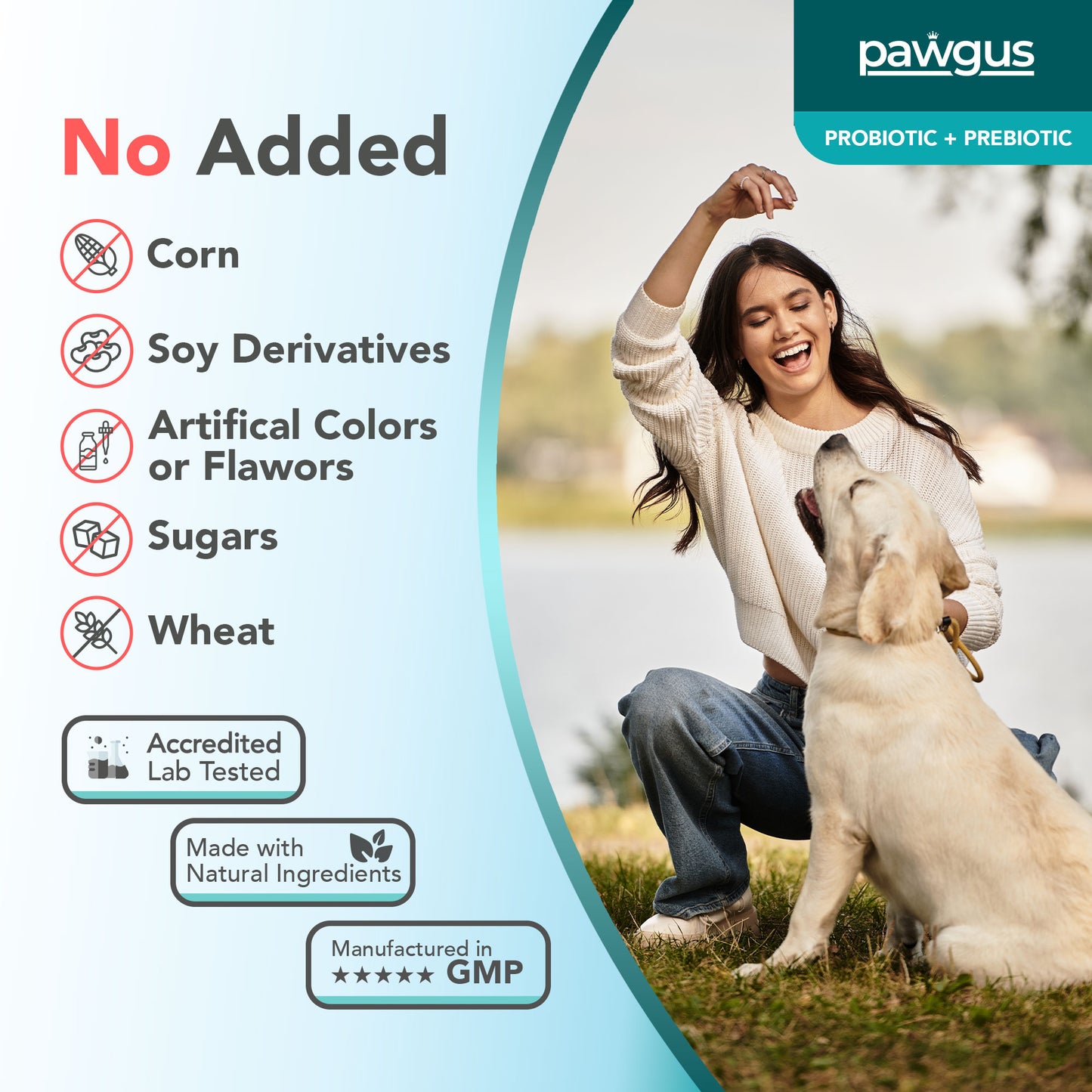 Veterinary Supplements Prebiotic + Probiotic Combo for Dogs 30 Sachets - Digestive System Regulation, Immune Support, Healthy Gut