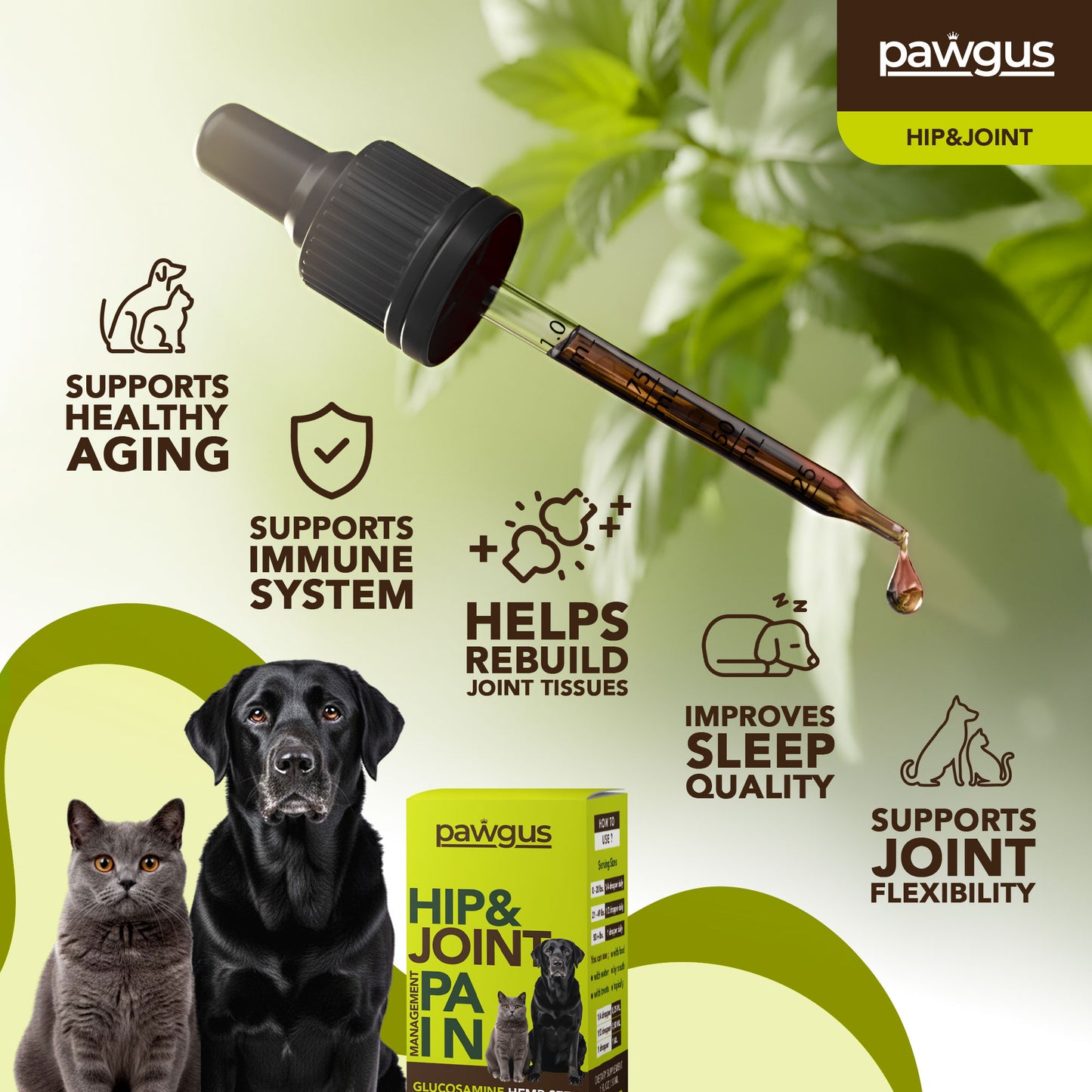 Dogs and Cats Hip and Joint Pain Management with Glucosamine, Chondroitin, Boswellia, MSM, Hyaluronic Acid, Collagens, Dewil's Claw - Healthy Aging, Sleep Quality - Lubrication, Stiffness Reliever